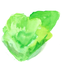 LECHUGA ROMANA P.F.