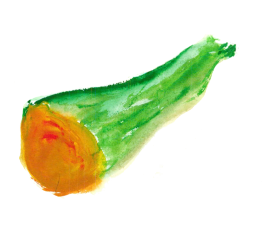 CALABAZA PAIS P.F.