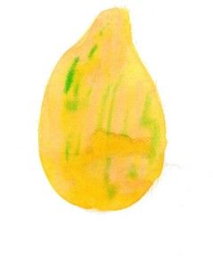 PAPAYA P.F.