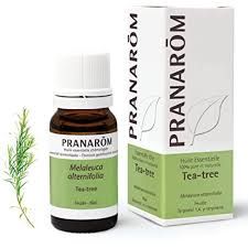 ARBOL DEL TE 10ML PRANAROM