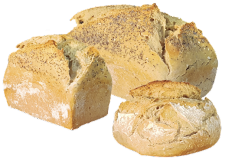 ESPELTA MOLDE/HOGAZA 1kg TAREI