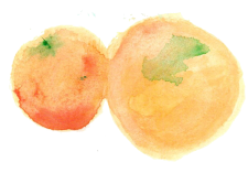 ALBARICOQUE