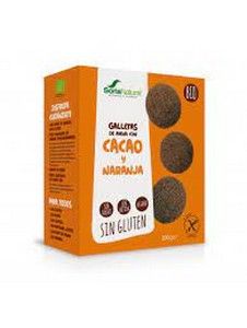 GALLETAS DE AVENA CON CACAO Y NARANJA 200GR 