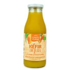 KEFIR UP AGUA MANGO 500ML